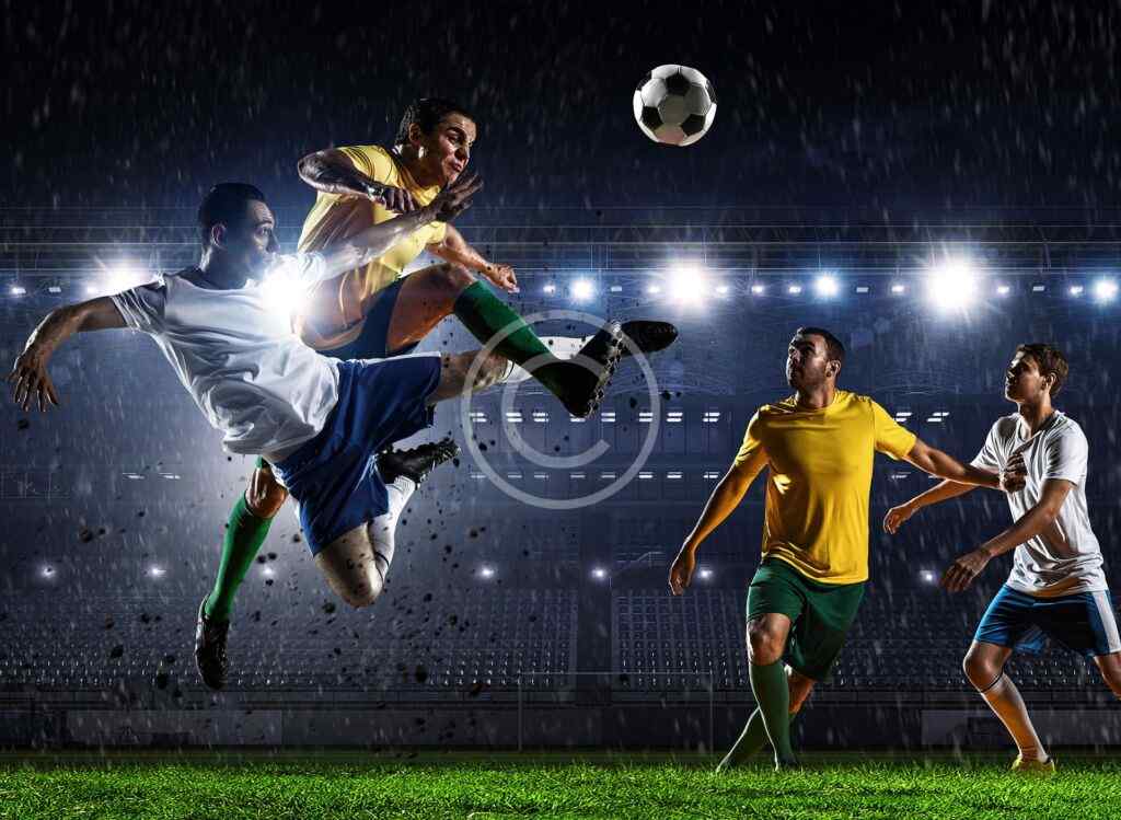 The power of loyalty: fans and their soccer clubs
